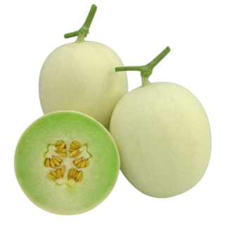 Madhumati Muskmelon From  Known You Seed (India)-KYI